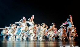 少儿舞蹈视频,少儿舞蹈视频魅力瞬间回顾